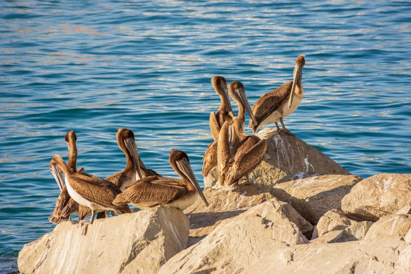 Morro Bay Beach Inn ภายนอก รูปภาพ